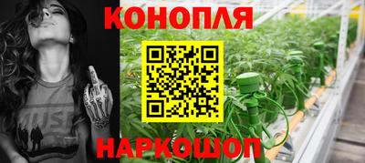 spice Кулебаки